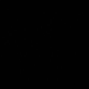 Meet your Posher, Moshe